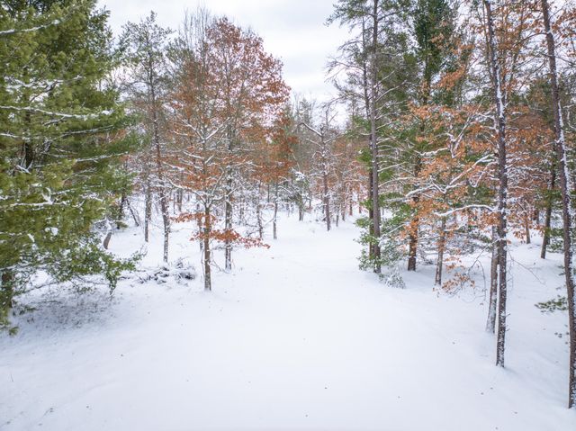 4813 W 48th Street, Pleasant Plains Twp, MI 49304
