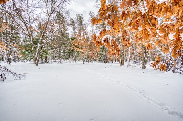 4813 W 48th Street, Pleasant Plains Twp, MI 49304