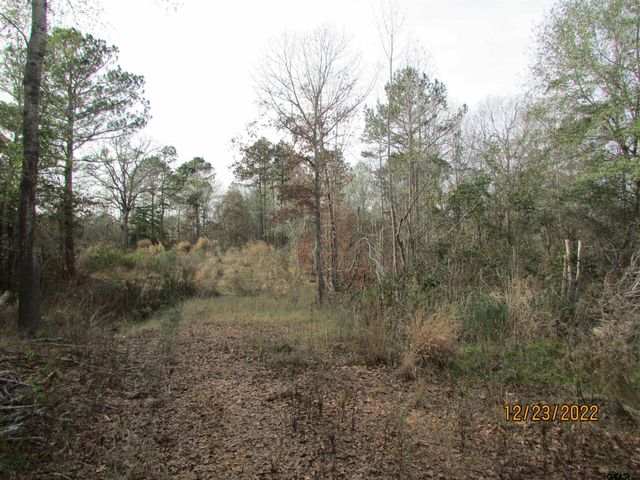6110 FM 314, Larue, TX 75770