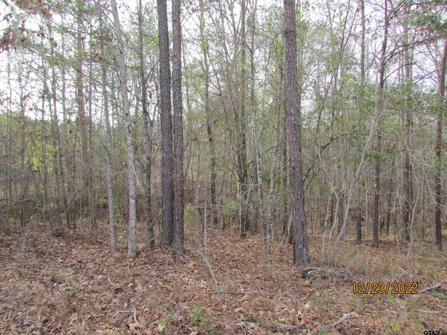 6110 FM 314, Larue, TX 75770