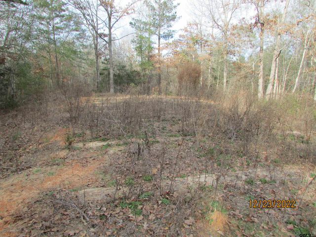 6110 FM 314, Larue, TX 75770