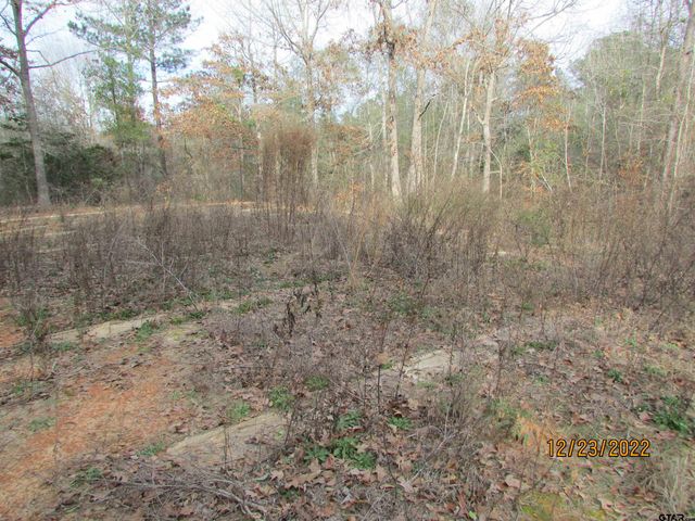 6110 FM 314, Larue, TX 75770