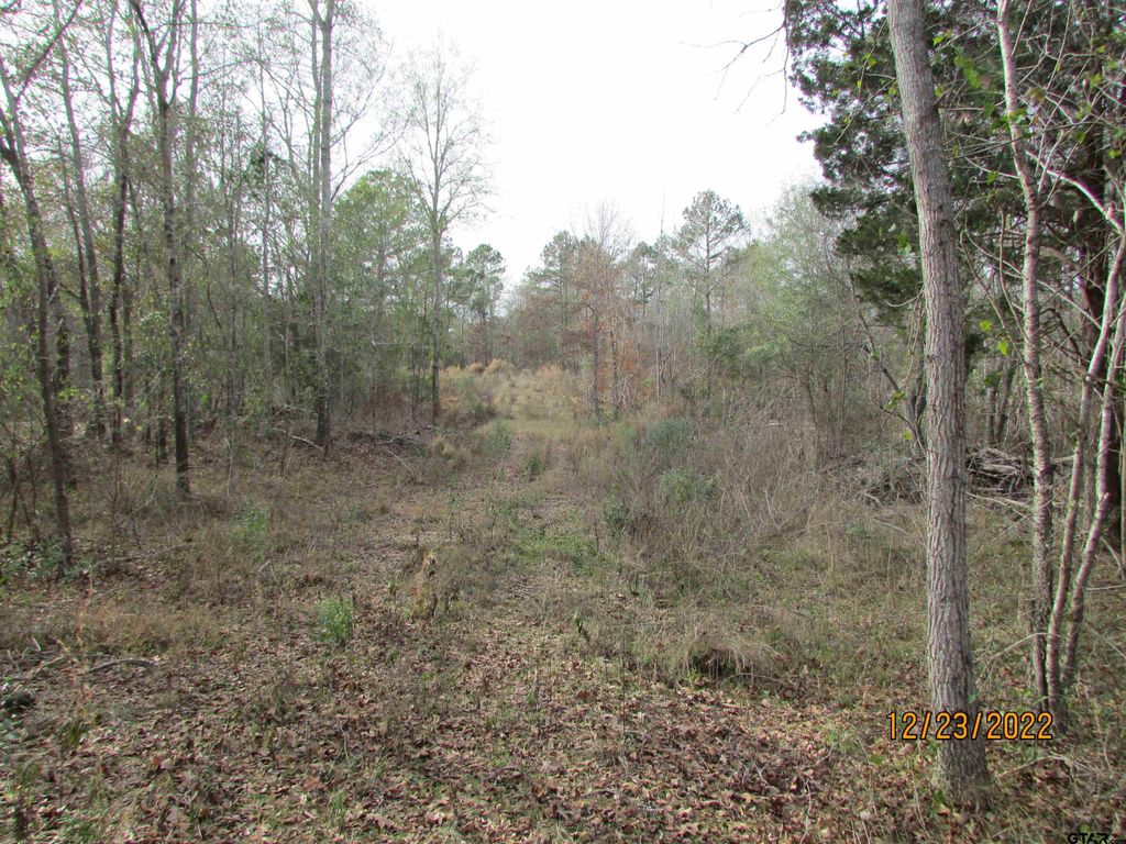 6110 FM 314, Larue, TX 75770