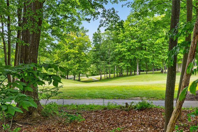 12 Buck Thorn Run, Victor, NY 14564