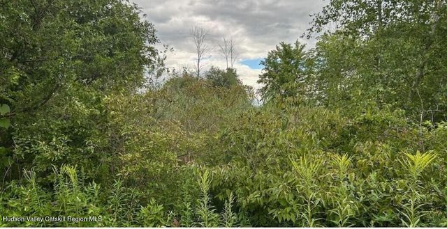 0 E Hawley Lane, New Baltimore, NY 12124