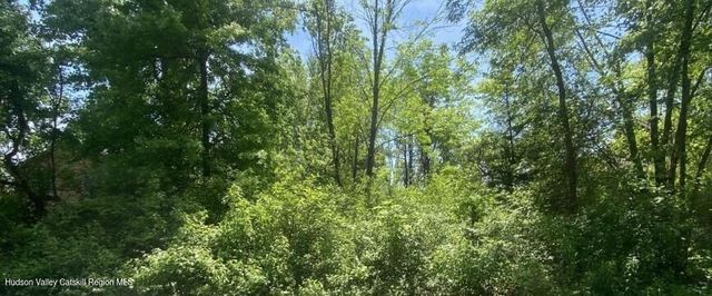 0 E Hawley Lane, New Baltimore, NY 12124