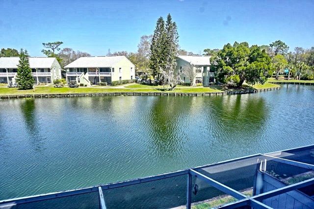 1873 MAZO MANOR 5, Lutz, FL 33558