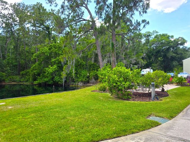 1873 MAZO MANOR 5, Lutz, FL 33558
