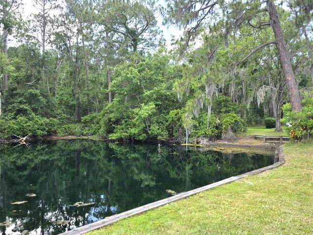 1873 MAZO MANOR 5, Lutz, FL 33558