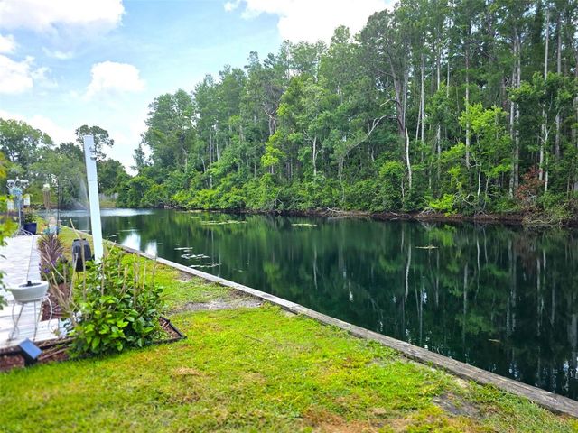 1873 MAZO MANOR 5, Lutz, FL 33558