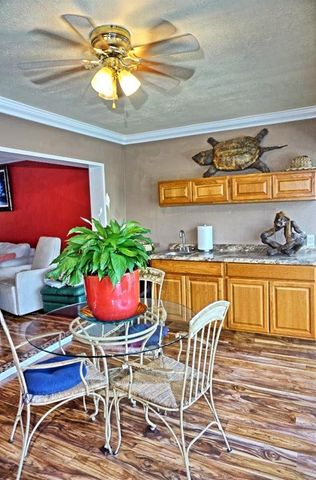 1873 MAZO MANOR 5, Lutz, FL 33558
