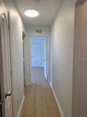 19111 FERN MEADOW LOOP, Lutz, FL 33558