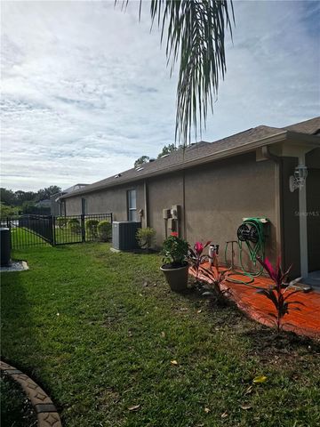 19111 FERN MEADOW LOOP, Lutz, FL 33558