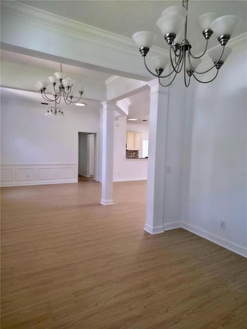 19111 FERN MEADOW LOOP, Lutz, FL 33558