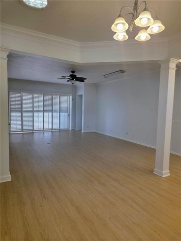 19111 FERN MEADOW LOOP, Lutz, FL 33558