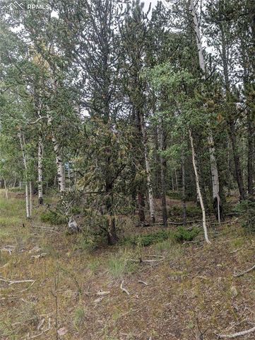 2455 Yorktown Road, Cripple Creek, CO 80813