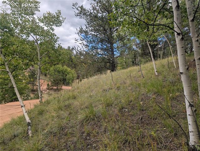 2455 Yorktown Road, Cripple Creek, CO 80813