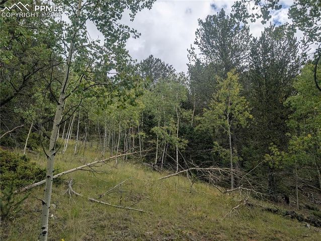 2455 Yorktown Road, Cripple Creek, CO 80813