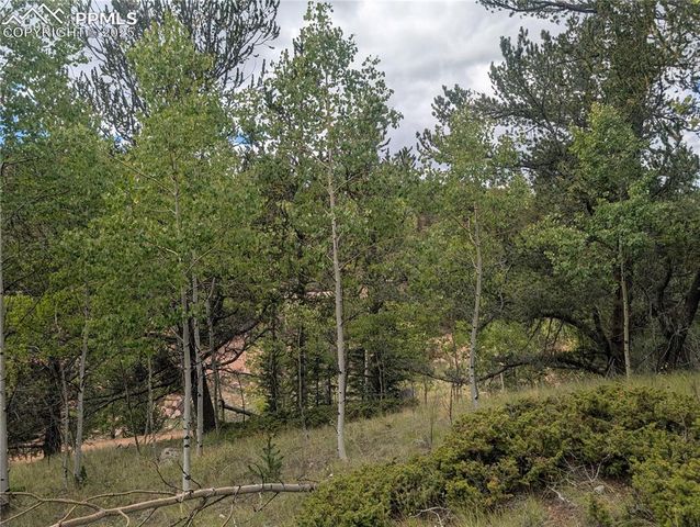 2455 Yorktown Road, Cripple Creek, CO 80813