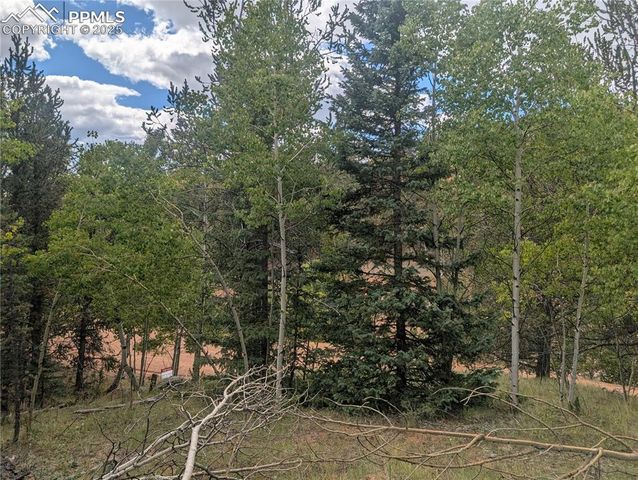 2455 Yorktown Road, Cripple Creek, CO 80813