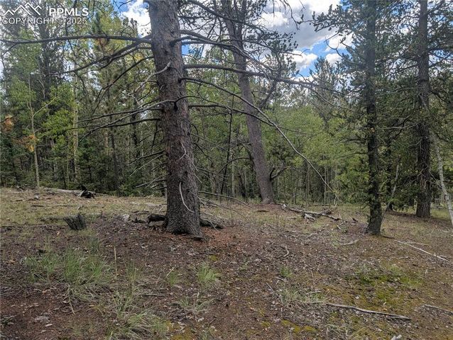 2455 Yorktown Road, Cripple Creek, CO 80813
