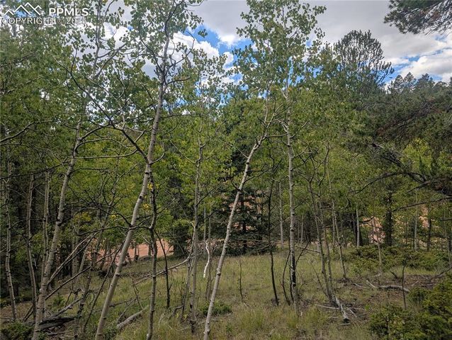 2455 Yorktown Road, Cripple Creek, CO 80813