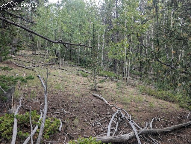 2455 Yorktown Road, Cripple Creek, CO 80813