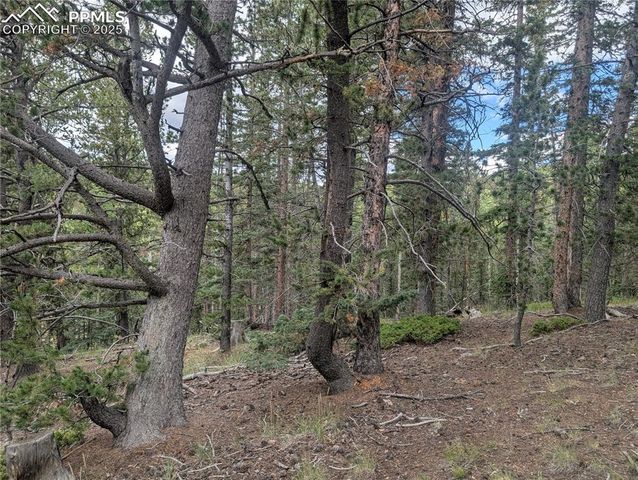 2455 Yorktown Road, Cripple Creek, CO 80813