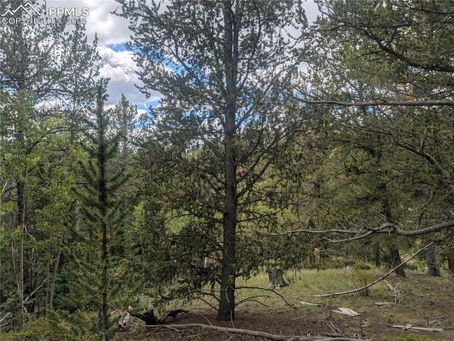 2455 Yorktown Road, Cripple Creek, CO 80813