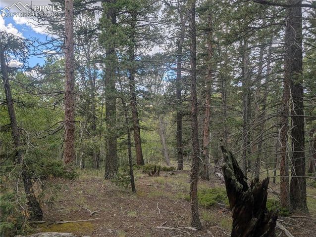 2455 Yorktown Road, Cripple Creek, CO 80813