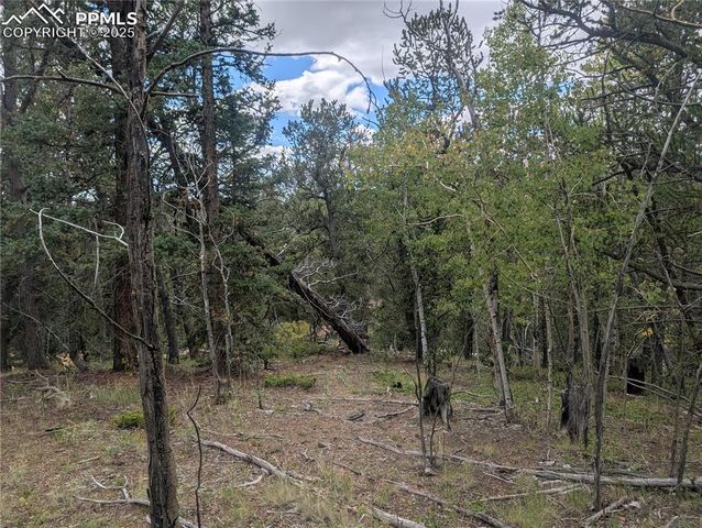 2455 Yorktown Road, Cripple Creek, CO 80813