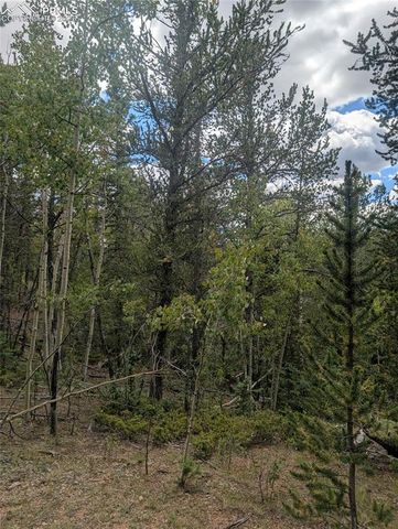 2455 Yorktown Road, Cripple Creek, CO 80813