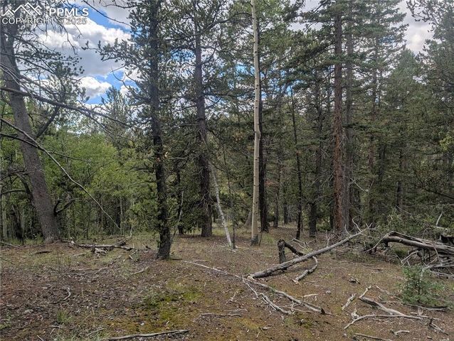 2455 Yorktown Road, Cripple Creek, CO 80813