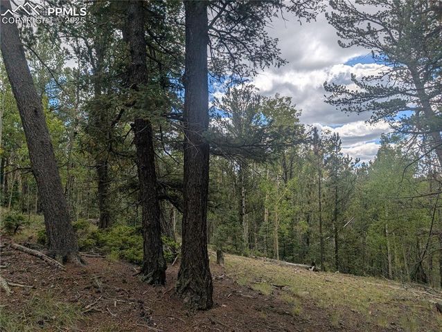 2455 Yorktown Road, Cripple Creek, CO 80813