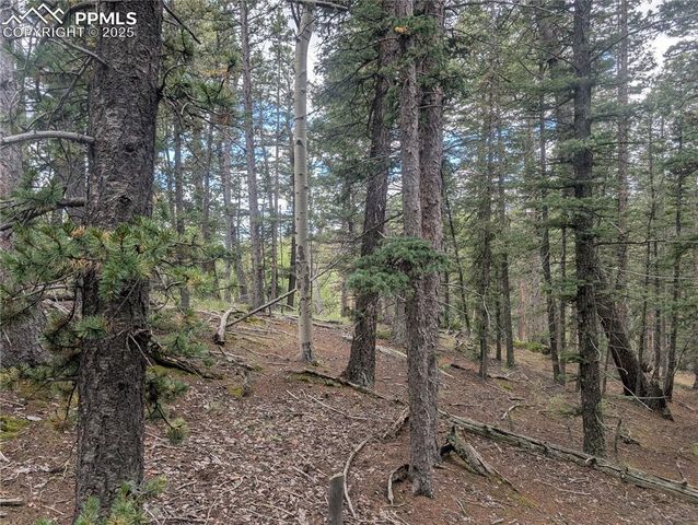 2455 Yorktown Road, Cripple Creek, CO 80813