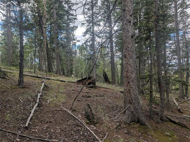 2455 Yorktown Road, Cripple Creek, CO 80813