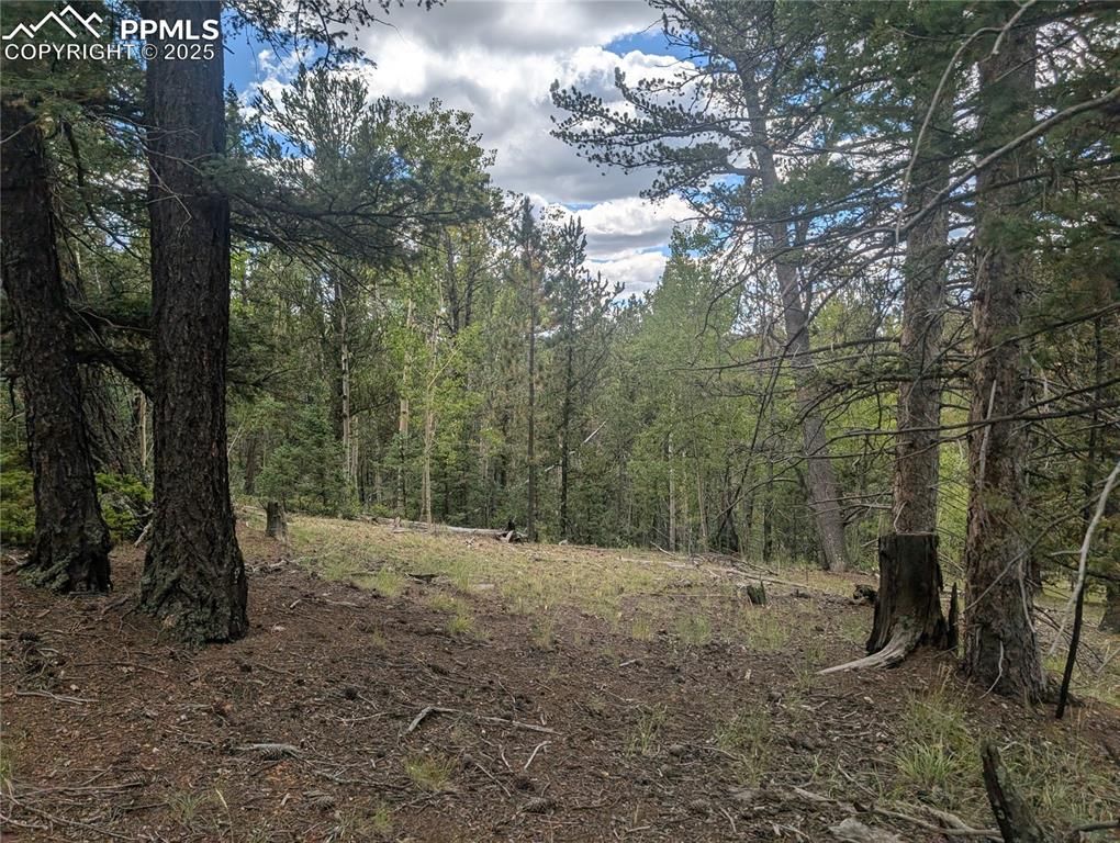 2455 Yorktown Road, Cripple Creek, CO 80813