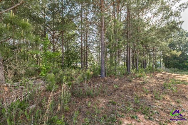 102 Clarks Court, Jackson, GA 30233