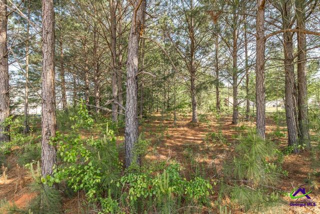 102 Clarks Court, Jackson, GA 30233