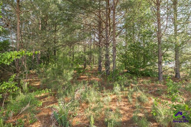 102 Clarks Court, Jackson, GA 30233
