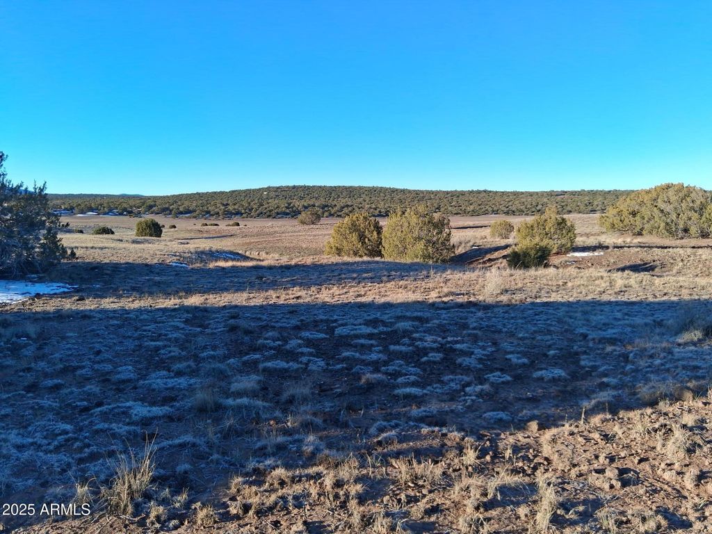 Image 10 of property listing at 86 County Rd 8227 -- -, Concho, AZ 85924