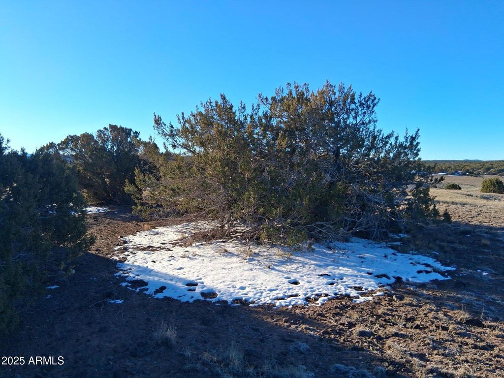 Image 11 of property listing at 86 County Rd 8227 -- -, Concho, AZ 85924