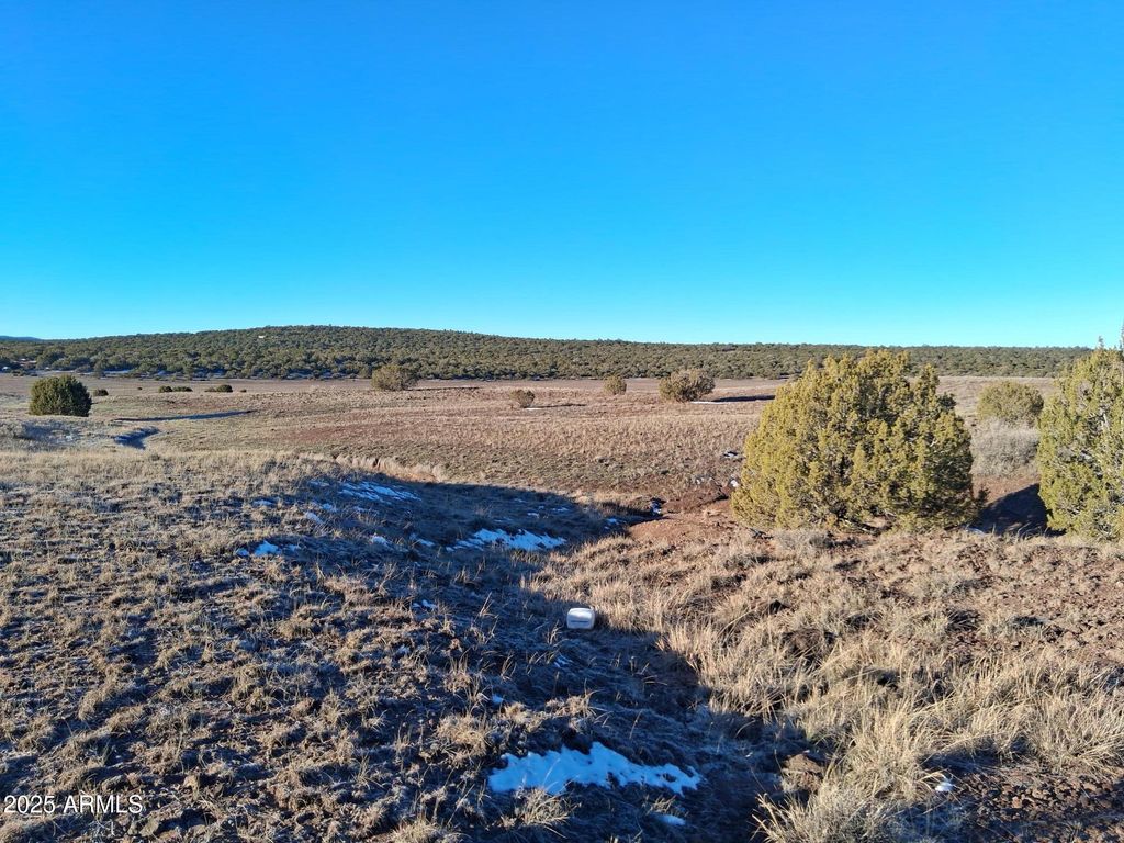 Image 12 of property listing at 86 County Rd 8227 -- -, Concho, AZ 85924