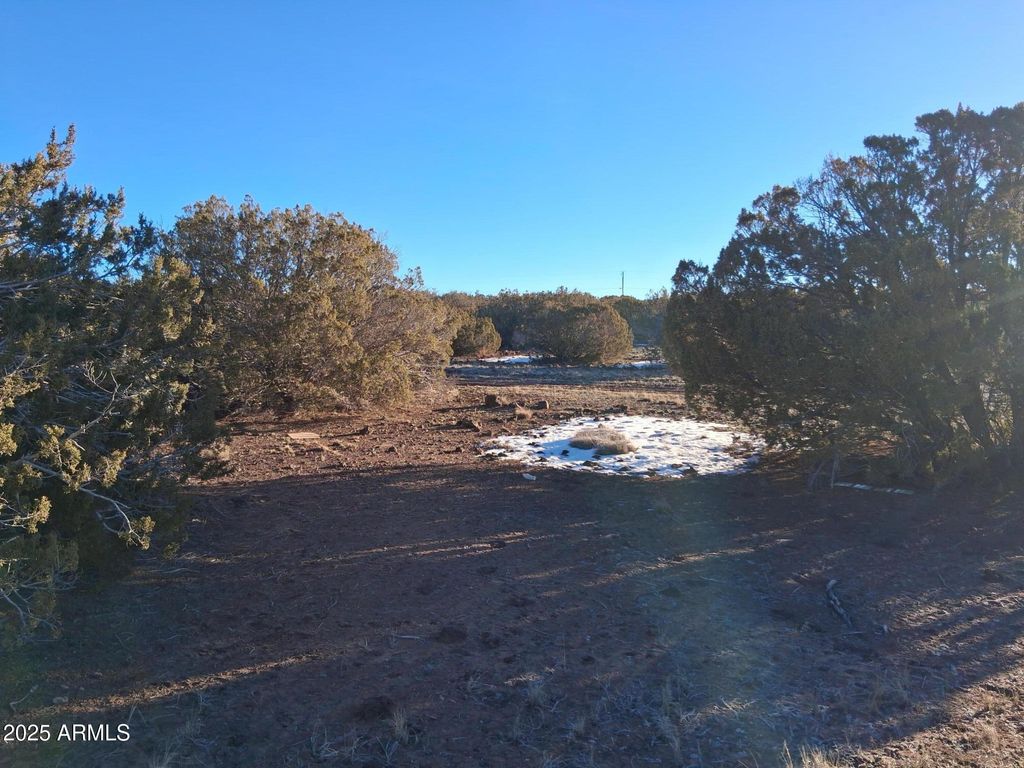 Image 13 of property listing at 86 County Rd 8227 -- -, Concho, AZ 85924