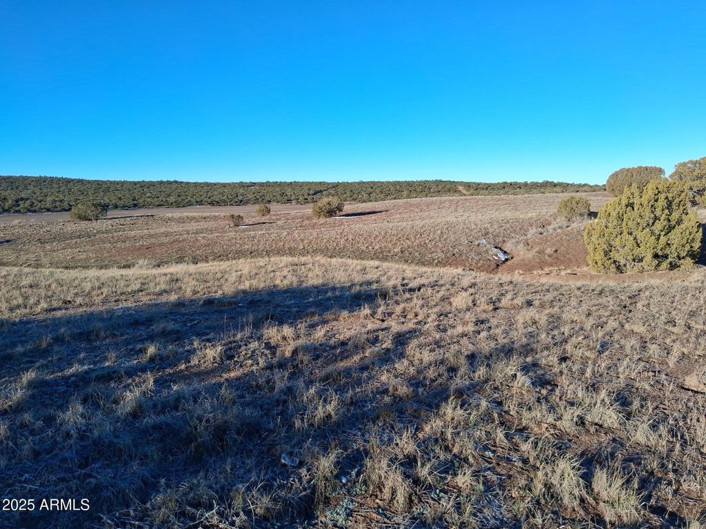 Image 14 of property listing at 86 County Rd 8227 -- -, Concho, AZ 85924