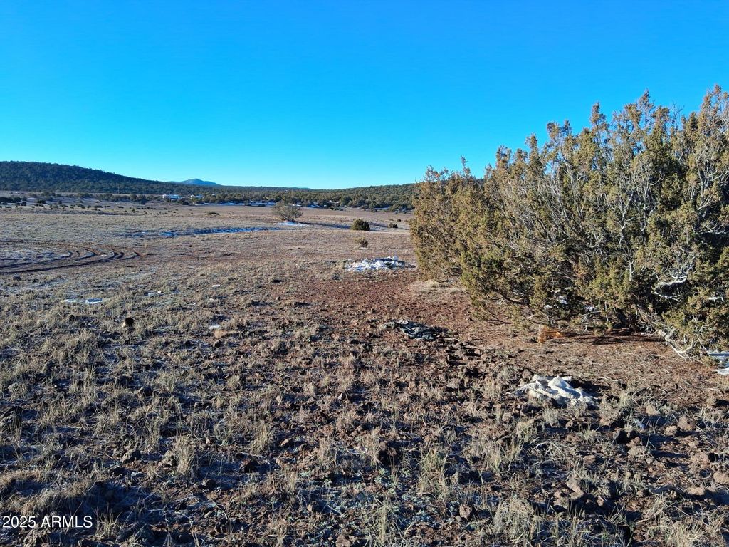 Image 15 of property listing at 86 County Rd 8227 -- -, Concho, AZ 85924