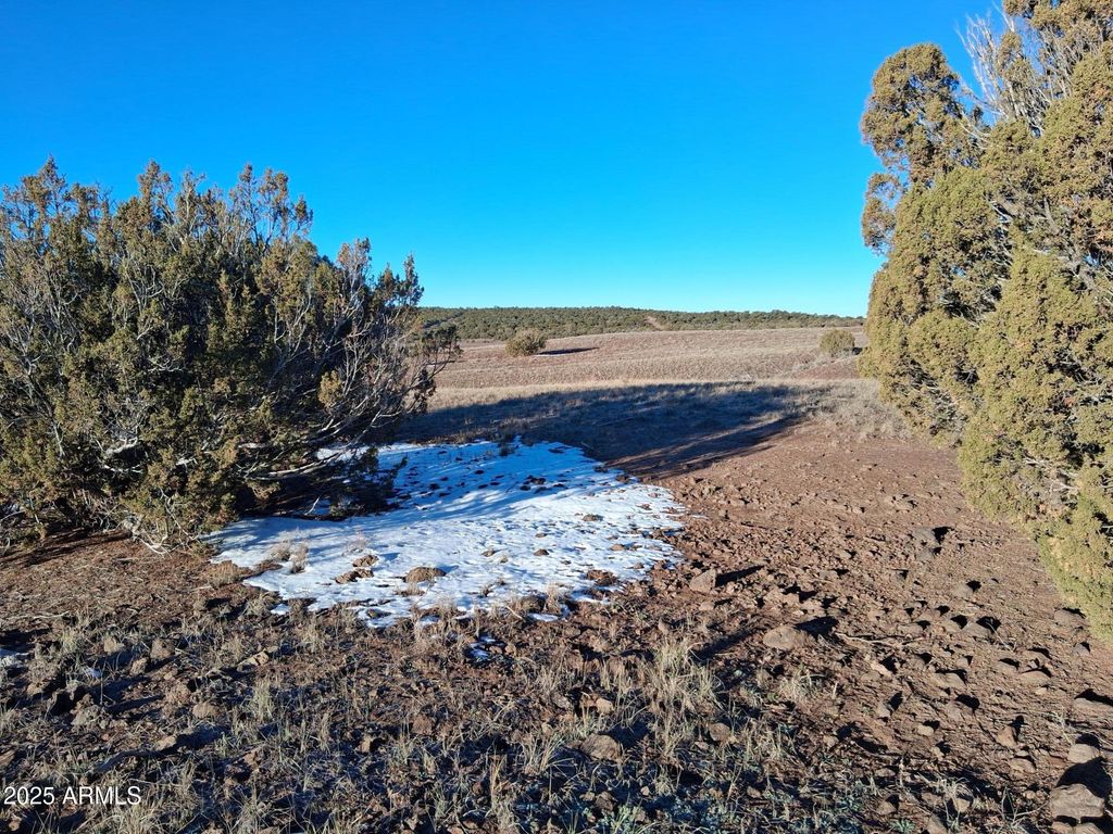 Image 16 of property listing at 86 County Rd 8227 -- -, Concho, AZ 85924