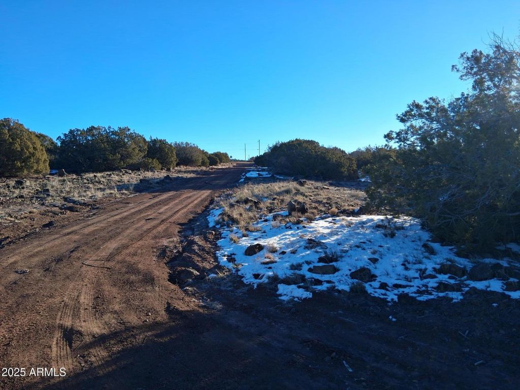 Image 17 of property listing at 86 County Rd 8227 -- -, Concho, AZ 85924