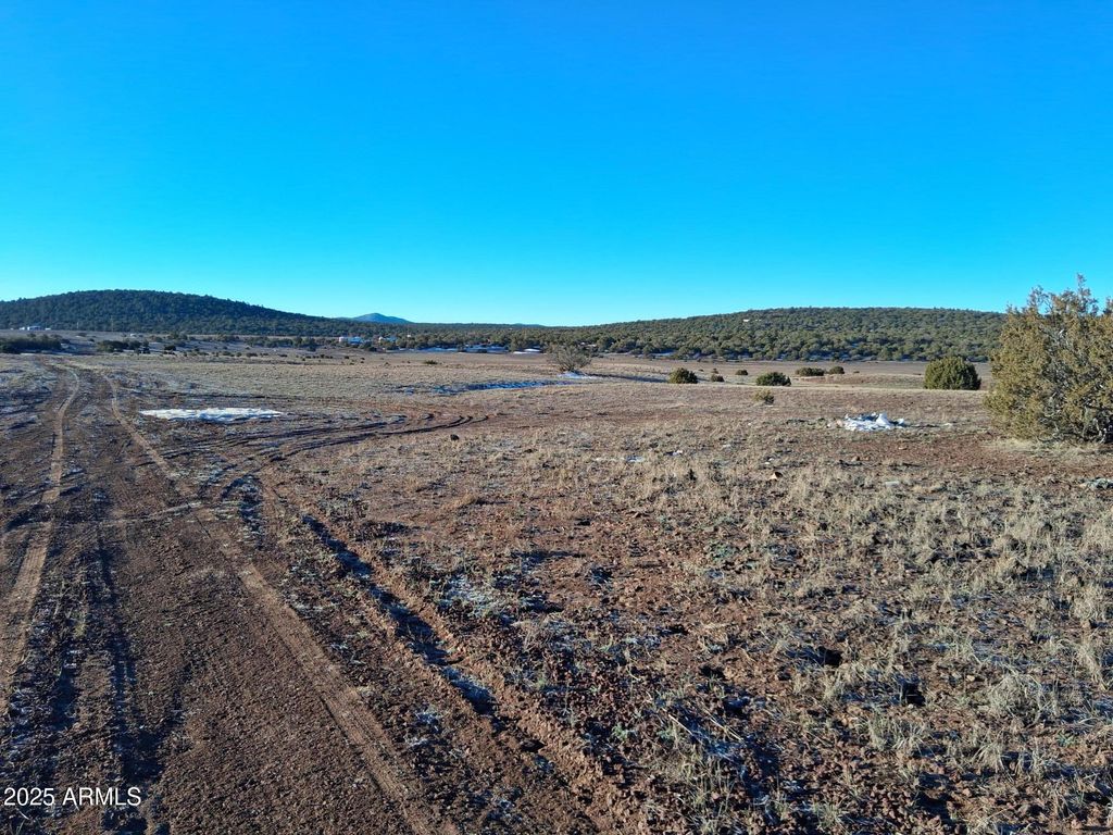 Image 6 of property listing at 86 County Rd 8227 -- -, Concho, AZ 85924