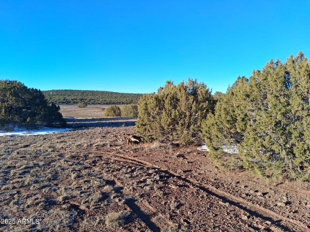 Image 7 of property listing at 86 County Rd 8227 -- -, Concho, AZ 85924